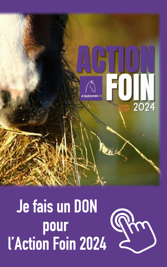 actionfoin_don